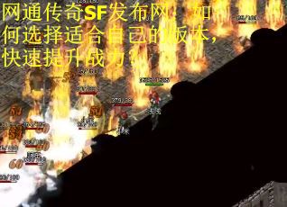网通传奇SF发布网：如何选择适合自己的版本，快速提升战力？