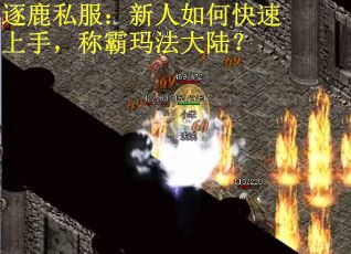 逐鹿私服：新人如何快速上手，称霸玛法大陆？