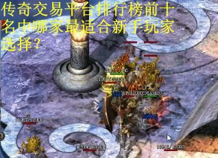 传奇交易平台排行榜前十名中哪家最适合新手玩家选择？