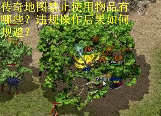 传奇地图禁止使用物品有哪些？违规操作后果如何规避？