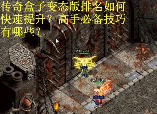传奇盒子变态版排名如何快速提升？高手必备技巧有哪些？