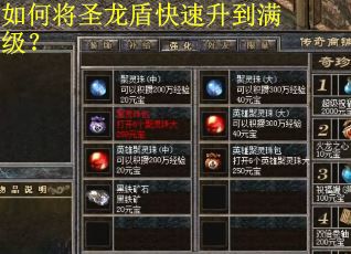 如何将圣龙盾快速升到满级？