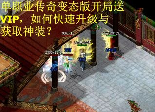 单职业传奇变态版开局送VIP，如何快速升级与获取神装？