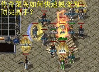 传奇菜鸟如何快速蜕变为顶尖高手？