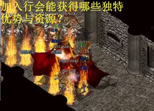 加入行会能获得哪些独特优势与资源？