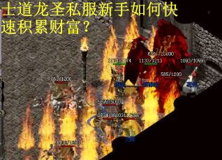 士道龙圣私服新手如何快速积累财富？