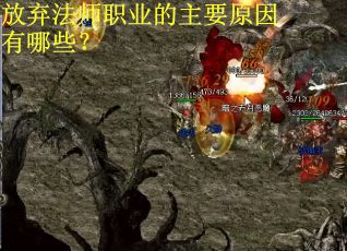 放弃法师职业的主要原因有哪些？