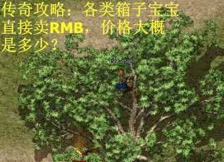 传奇攻略:各类箱子宝宝直接卖RMB,价格大概是多少? 传奇攻略:各类箱子宝宝直接卖RMB,价格大概是多少?