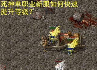 死神单职业新服如何快速提升等级？