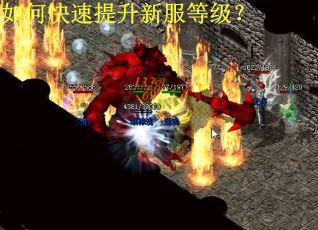 如何快速提升新服等级？