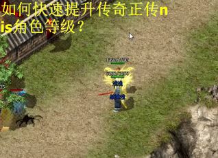 如何快速提升传奇正传nis角色等级？
