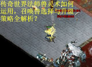 传奇世界法师兽灵术如何运用，召唤兽选择与升级策略全解析？