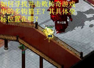 如何寻找并击败传奇游戏中的多钩猫王？其具体坐标位置在哪？