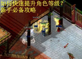 如何快速提升角色等级？新手必备攻略