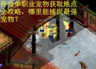 传奇单职业宠物获取地点全攻略，哪里能捕捉最强宠物？